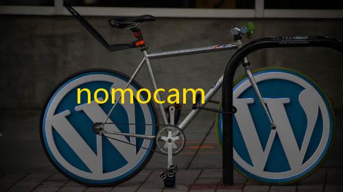 漏洞扫描nomocam